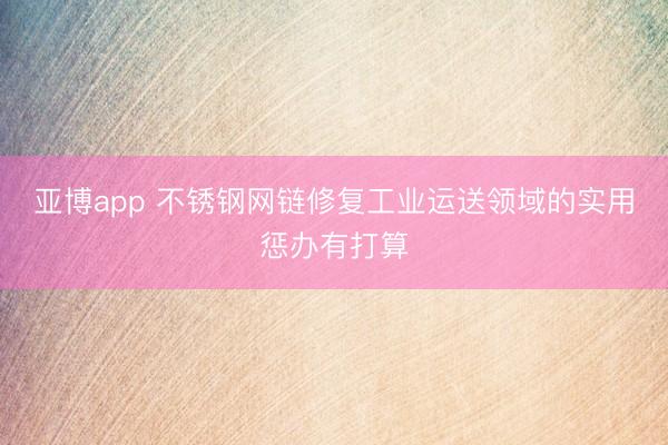 亚博app 不锈钢网链修复工业运送领域的实用惩办有打算