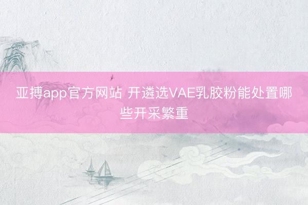 亚搏app官方网站 开遴选VAE乳胶粉能处置哪些开采繁重