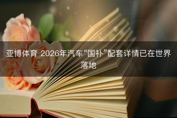 亚博体育 2026年汽车“国补”配套详情已在世界落地