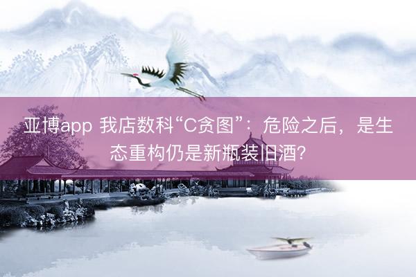 亚博app 我店数科“C贪图”:危险之后,是生态重构仍是新瓶装旧酒?